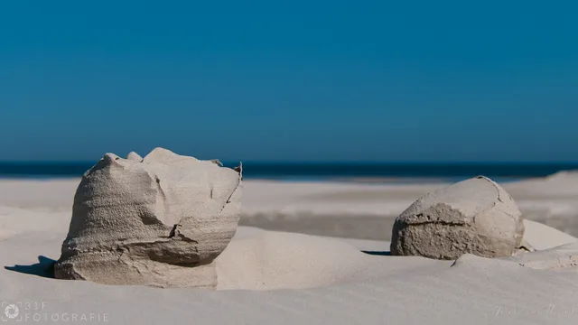 Sand sculptures on the beach