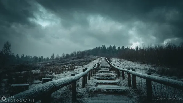 Stairway to the north... winter is coming!
